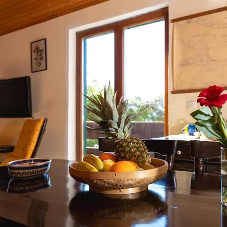 Casa de Férias House Omi